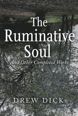 bokomslag Ruminative Soul