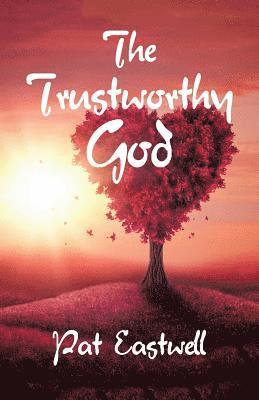 bokomslag Trustworthy God
