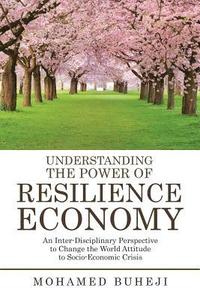 bokomslag Understanding the Power of Resilience Economy