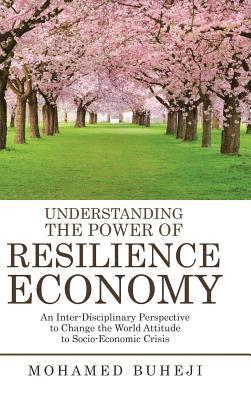 bokomslag Understanding the Power of Resilience Economy
