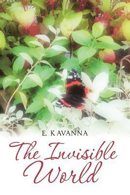 E Kavanna, E. Kavanna - Invisible World, Häftad