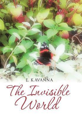 Invisible World