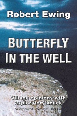 Butterfly in the Well 1