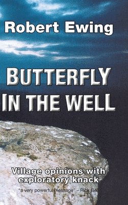 Butterfly in the Well 1