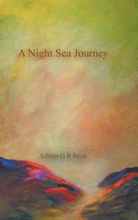 bokomslag A Night Sea Journey