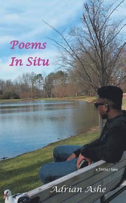 bokomslag Poems in Situ