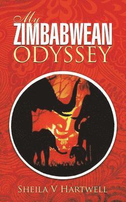 bokomslag My Zimbabwean Odyssey