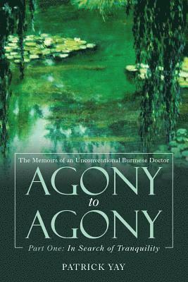 Patrick Yay - Agony to Agony, Häftad