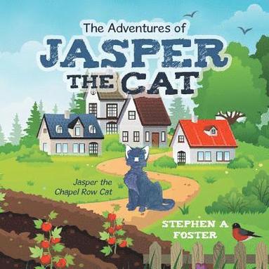 bokomslag Adventures of Jasper the Cat