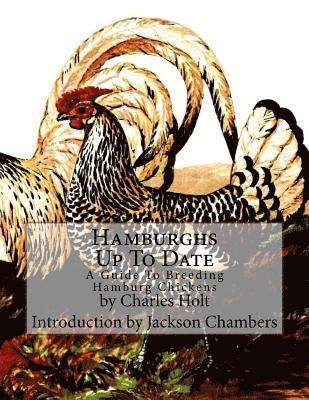 Hamburghs Up To Date: A Guide To Breeding Hamburg Chickens 1