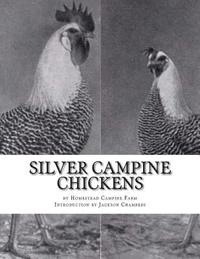 bokomslag Silver Campine Chickens: The Vigorous Strain of Silver Campine Fowl