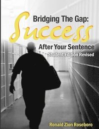 bokomslag Bridging The Gap