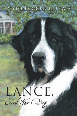 Lance, Civil War Dog 1