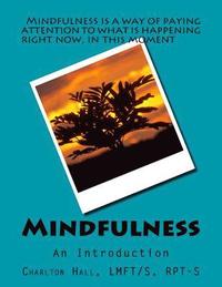 bokomslag Mindfulness: An Introduction