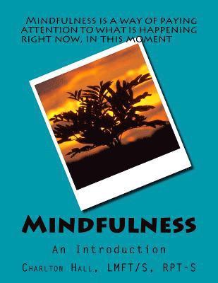 bokomslag Mindfulness: An Introduction