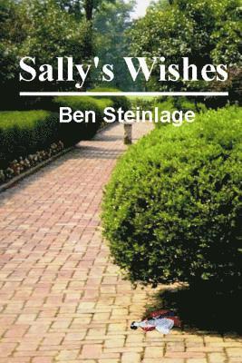 bokomslag Sally's Wishes