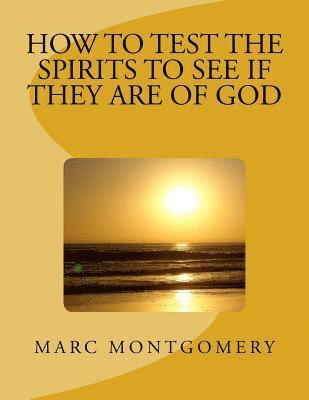 bokomslag How to Test the Spirits to See if They are of God: Many shall come to me and say: Did we not do great things in your Name?