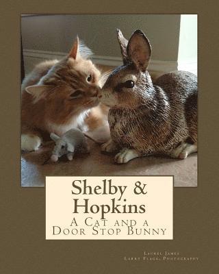Shelby & Hopkins: A Cat and a Door Stop Bunny 1