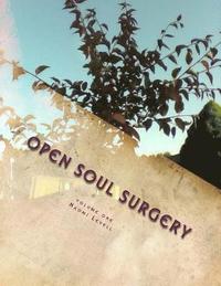 bokomslag Volume One, Open Soul Surgery, deluxe large print color edition: The Seer