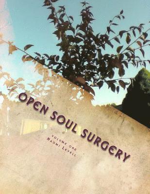 Volume One, Open Soul Surgery, deluxe large print color edition: The Seer 1