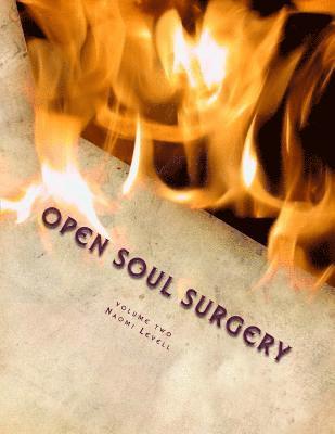 Volume Two, Open Soul Surgery, deluxe large print color edition: Seven Flames: Letters to Manasseh 1