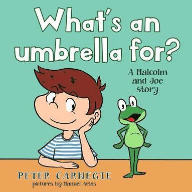 bokomslag What's an umbrella for?: A Malcolm and Joe Story