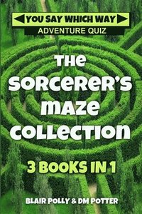bokomslag The Sorcerer's Maze Collection