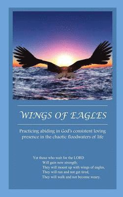 Twila Dawn Joy Jensen - Wings of Eagles: Practicing abiding in God's consistent loving presence in the chaotic floodwaters of life, Häftad