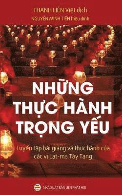 Thanh Liên, Nguyễn Minh Tiến, Nguy&#7877;n Minh Ti&#7871;n, Nguy¿n Minh Ti¿n, Nguy¿N Minh Ti¿N - Những thực hành trọng yếu, Häftad