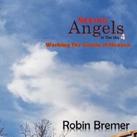 bokomslag Seeing Angels in the Sky 4: Working the Courts of Heaven