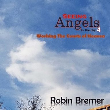 bokomslag Seeing Angels in the Sky 4: Working the Courts of Heaven