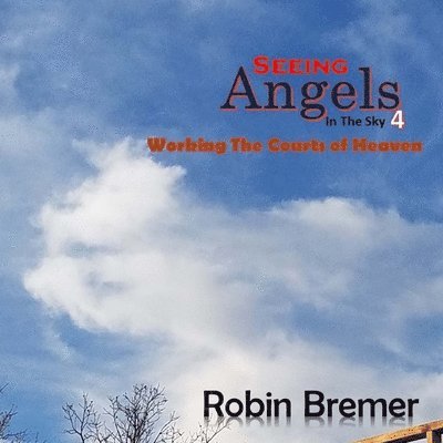 Seeing Angels in the Sky 4: Working the Courts of Heaven 1