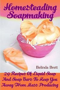 bokomslag Homesteading Soapmaking: 29 Recipes Of Liquid Soap And Soap Bars To Keep You Away From Mass Producing