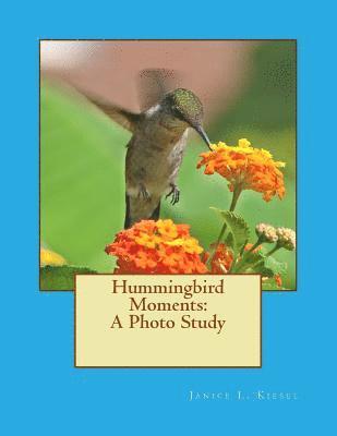 Hummingbird Moments: A Photo Study 1