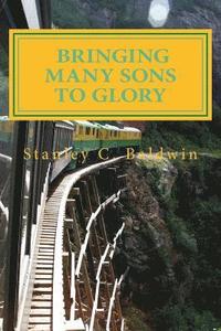 bokomslag Bringing Many Sons to Glory: How Your Journey Will End