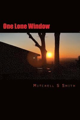 One Lone Window 1