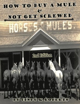 How To Buy A Mule & Not Get Screwed 1