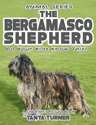 Tanya Turner - THE BERGAMASCO SHEPHERD Do Your Kids Know This?: A Children's Picture Book, Häftad