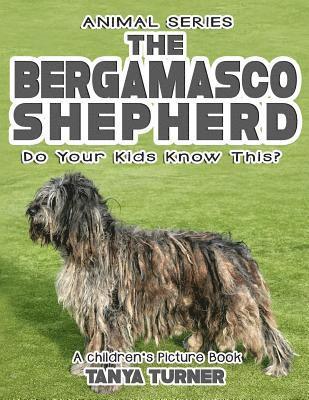 THE BERGAMASCO SHEPHERD Do Your Kids Know This?: A Children's Picture Book 1