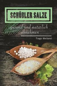 bokomslag Schüßler Salze: Mit Schüßler Salzen gesund und natürlich abnehmen