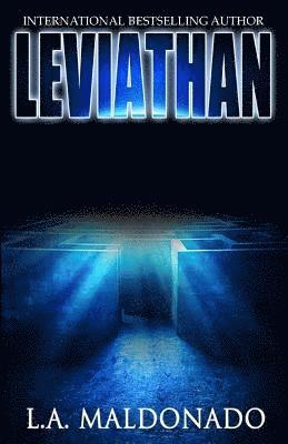 bokomslag Leviathan