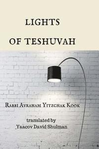 bokomslag Lights of Teshuvah