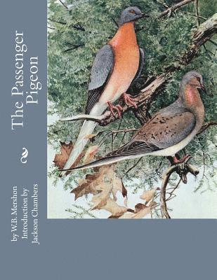 bokomslag The Passenger Pigeon