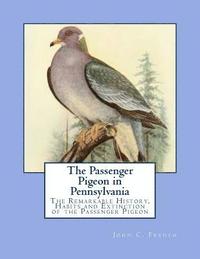 bokomslag The Passenger Pigeon in Pennsylvania: The Remarkable History, Habits and Extinction of the Passenger Pigeon
