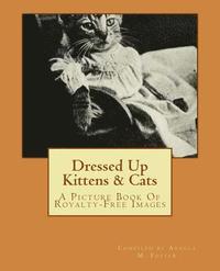 bokomslag Dressed Up Kittens & Cats: A Picture Book Of Royalty-Free Images