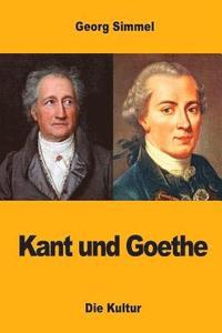 bokomslag Kant und Goethe