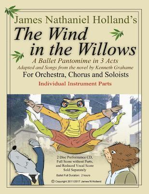 bokomslag The Wind in the Willows