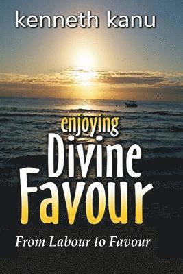 bokomslag Enjoying Divine Favour: From Labour to Favour