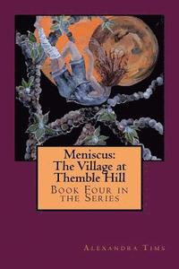 bokomslag Meniscus: The Village at Themble Hill