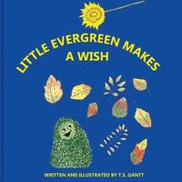 bokomslag Little Evergreen Makes a Wish